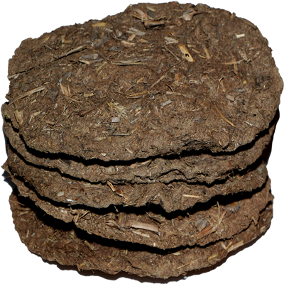 Cow Dung Cakes