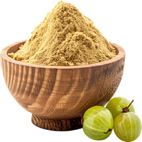 Get 30% off on Amla Powder